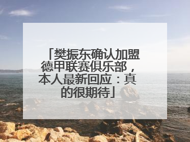 樊振东确认加盟德甲联赛俱乐部，本人最新回应：真的很期待