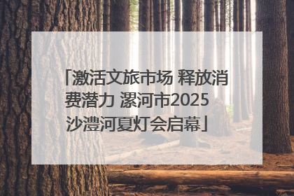 激活文旅市场 释放消费潜力 漯河市2025沙澧河夏灯会启幕