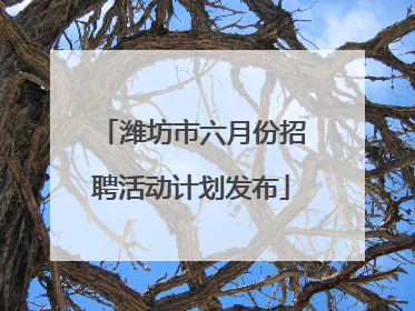 潍坊市六月份招聘活动计划发布