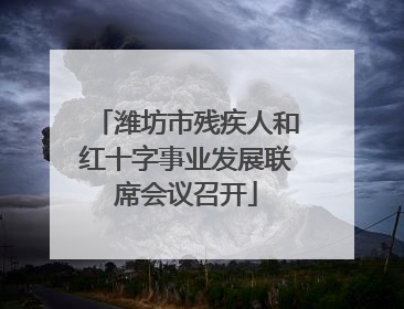潍坊市残疾人和红十字事业发展联席会议召开