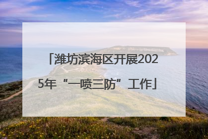 潍坊滨海区开展2025年“一喷三防”工作