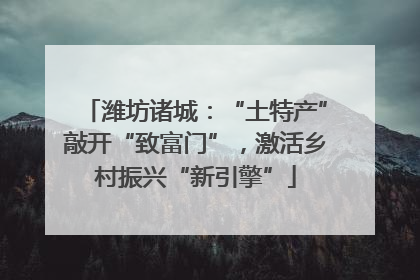 潍坊诸城：“土特产”敲开“致富门”，激活乡村振兴“新引擎”