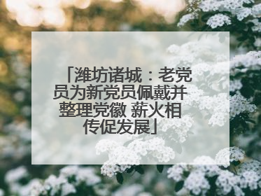 潍坊诸城：老党员为新党员佩戴并整理党徽 薪火相传促发展