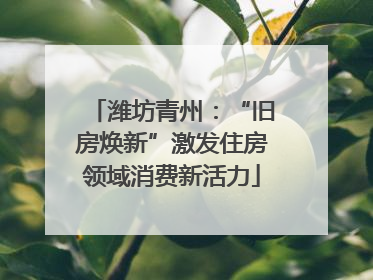 潍坊青州：“旧房焕新”激发住房领域消费新活力