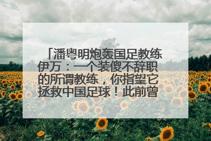 潘粤明炮轰国足教练伊万：一个装傻不辞职的所谓教练，你指望它拯救中国足球！此前曾多次发文评价国足