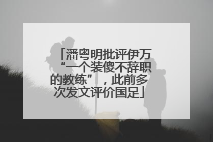 潘粤明批评伊万“一个装傻不辞职的教练”，此前多次发文评价国足