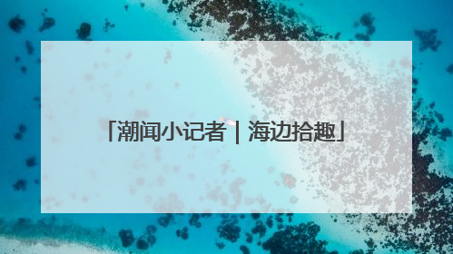 潮闻小记者｜海边拾趣