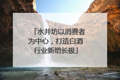 水井坊以消费者为中心，打造白酒行业新增长极