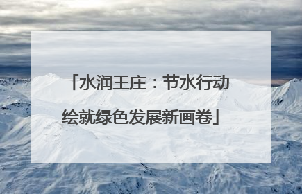 水润王庄：节水行动绘就绿色发展新画卷