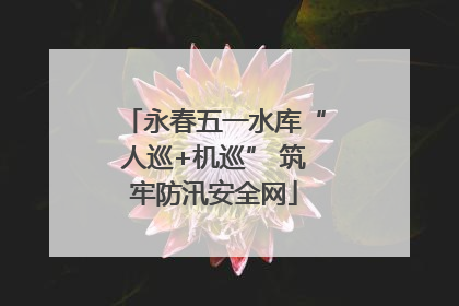 永春五一水库“人巡+机巡” 筑牢防汛安全网