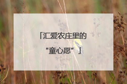 汇爱农庄里的“童心愿”