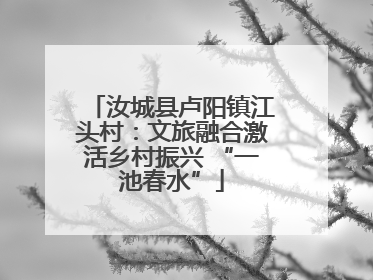 汝城县卢阳镇江头村：文旅融合激活乡村振兴 “一池春水”
