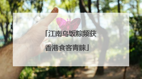 江南乌饭粽频获香港食客青睐