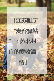 江苏睢宁“麦客驿站”：苏北村庄的麦收温情