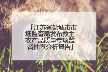 江苏省盐城市市场监管局发布救生衣产品质量专项监督抽查分析报告