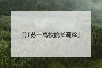 江苏一高校院长调整