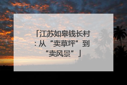 江苏如皋钱长村：从“卖草坪”到“卖风景”