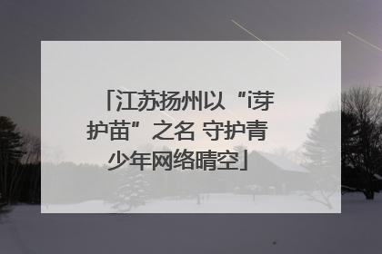 江苏扬州以“i芽护苗”之名 守护青少年网络晴空