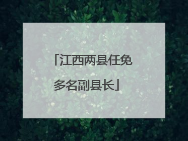 江西两县任免多名副县长