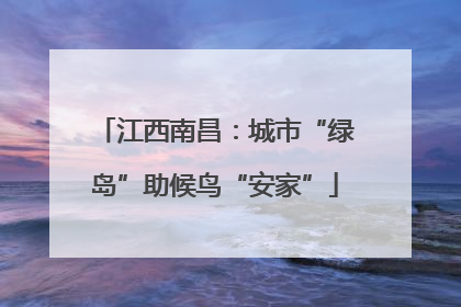 江西南昌：城市“绿岛”助候鸟“安家”