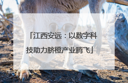 江西安远：以数字科技助力脐橙产业腾飞