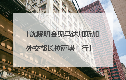 沈晓明会见马达加斯加外交部长拉萨塔一行