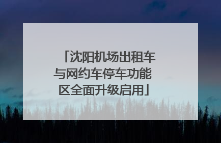 沈阳机场出租车与网约车停车功能区全面升级启用