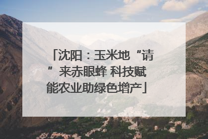 沈阳：玉米地“请”来赤眼蜂 科技赋能农业助绿色增产
