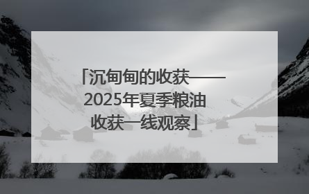 沉甸甸的收获——2025年夏季粮油收获一线观察