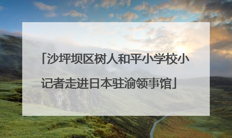沙坪坝区树人和平小学校小记者走进日本驻渝领事馆