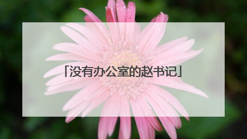 没有办公室的赵书记