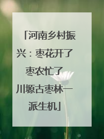 河南乡村振兴：枣花开了 枣农忙了 川塬古枣林一派生机