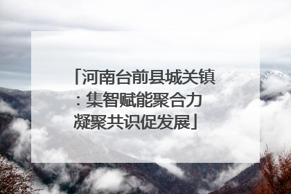 河南台前县城关镇：集智赋能聚合力 凝聚共识促发展