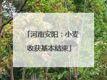河南安阳：小麦收获基本结束