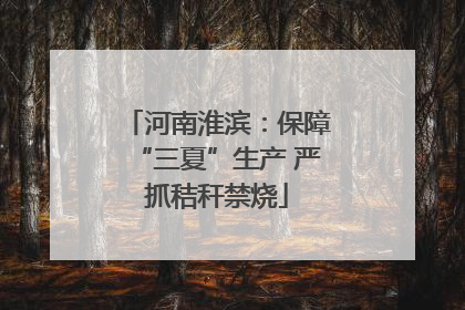 河南淮滨：保障“三夏”生产 严抓秸秆禁烧