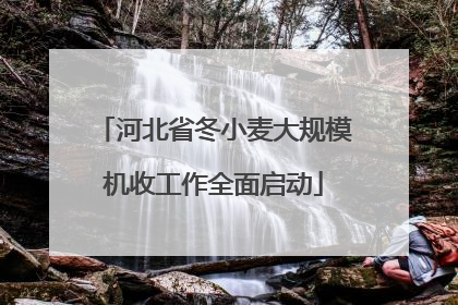河北省冬小麦大规模机收工作全面启动