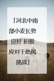 河北中南部小麦长势良好 积极应对干热风挑战