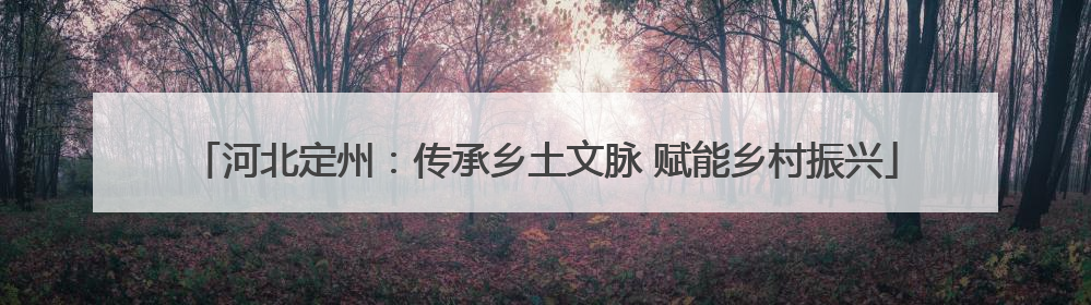 河北定州：传承乡土文脉 赋能乡村振兴