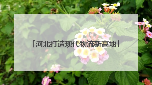河北打造现代物流新高地