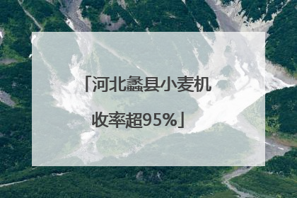 河北蠡县小麦机收率超95%