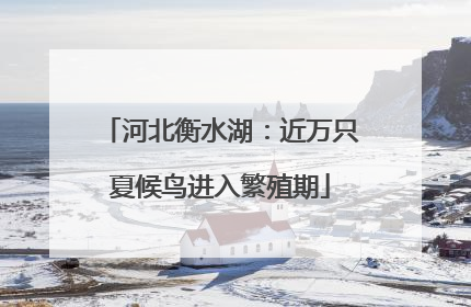 河北衡水湖：近万只夏候鸟进入繁殖期