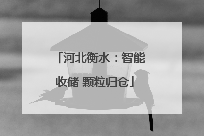 河北衡水：智能收储 颗粒归仓