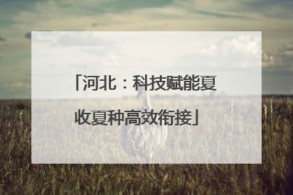 河北：科技赋能夏收夏种高效衔接