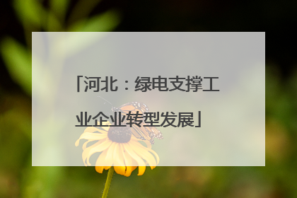 河北：绿电支撑工业企业转型发展