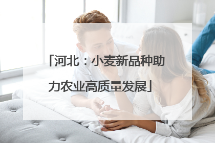 河北：小麦新品种助力农业高质量发展