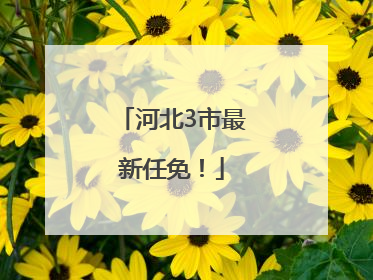 河北3市最新任免！