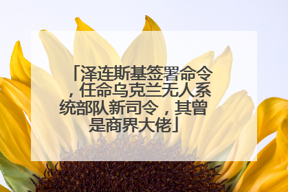 泽连斯基签署命令，任命乌克兰无人系统部队新司令，其曾是商界大佬