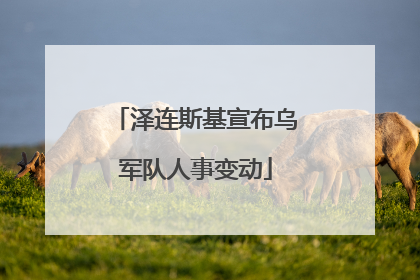 泽连斯基宣布乌军队人事变动