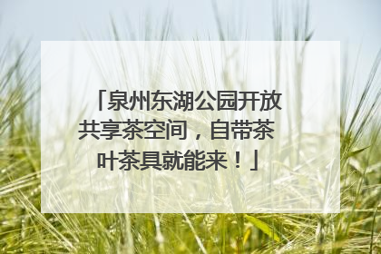 泉州东湖公园开放共享茶空间，自带茶叶茶具就能来！