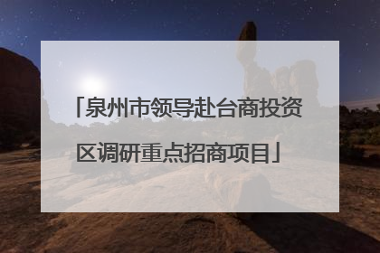 泉州市领导赴台商投资区调研重点招商项目
